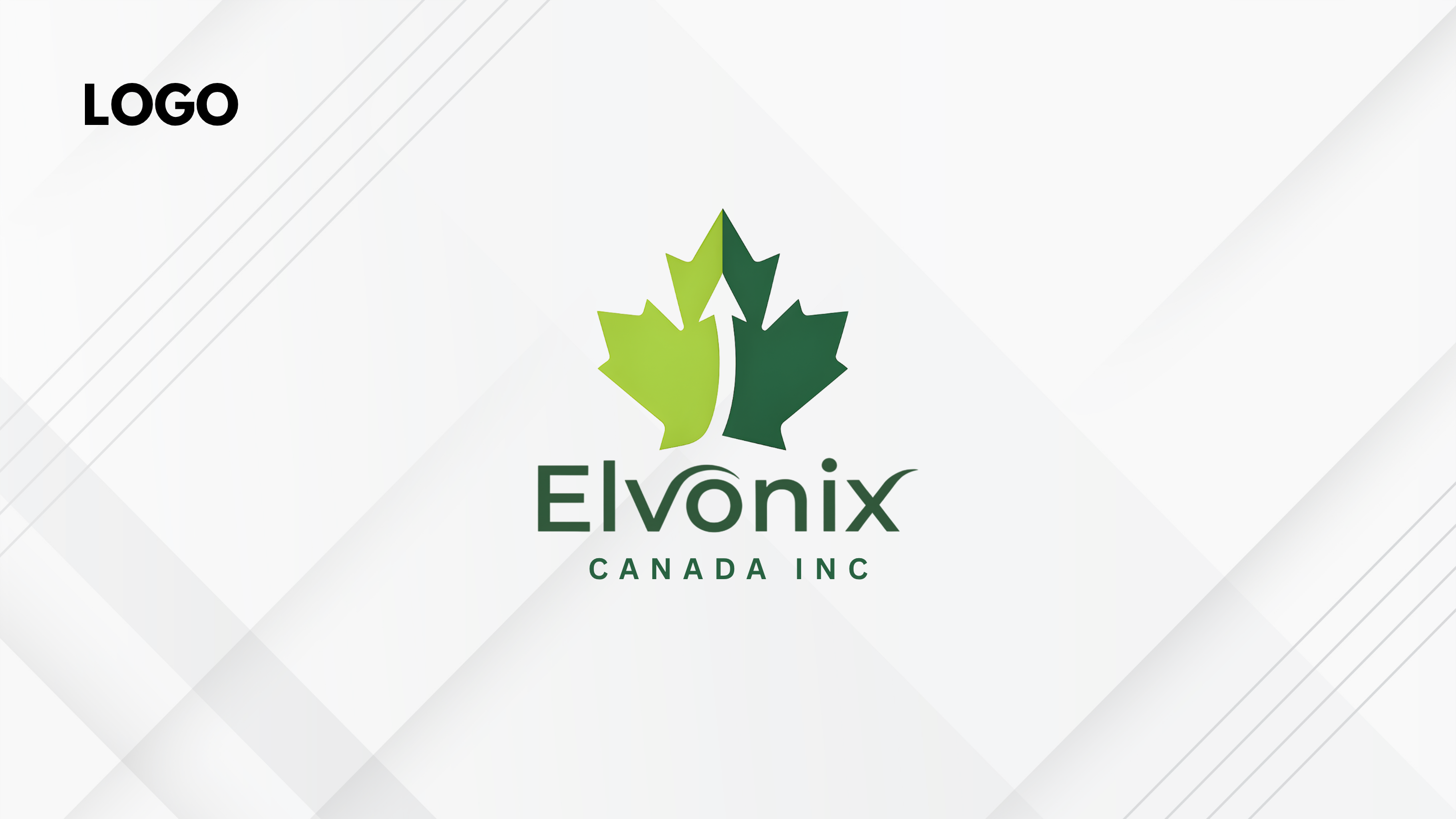 logo mockup