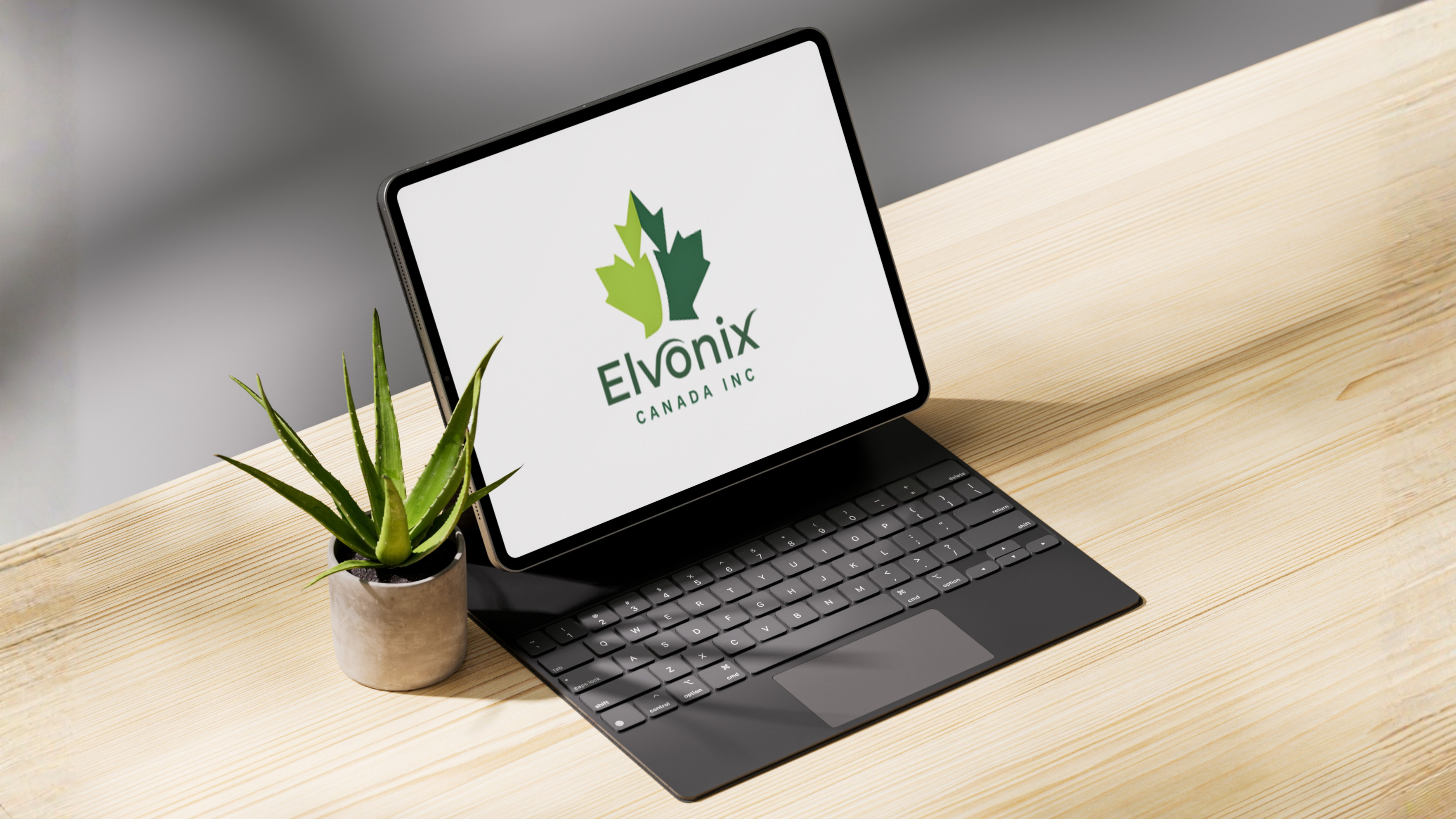 branding mockup